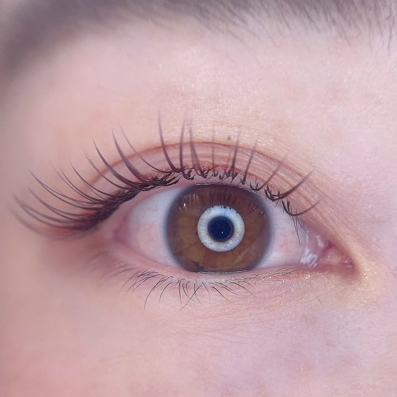 フラットラッシュ　カラー